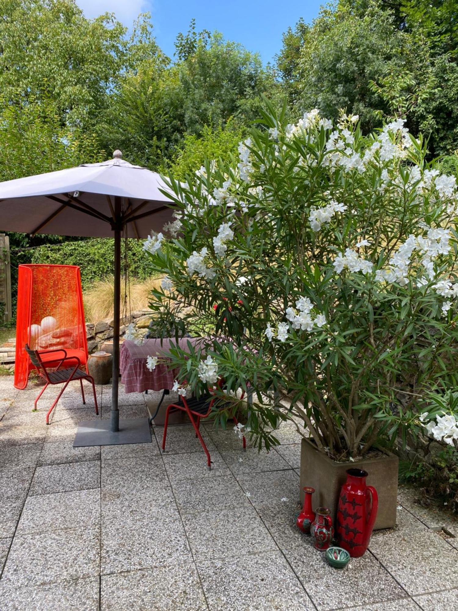 Jules&Jim Gaestehaus Linz Dış mekan fotoğraf